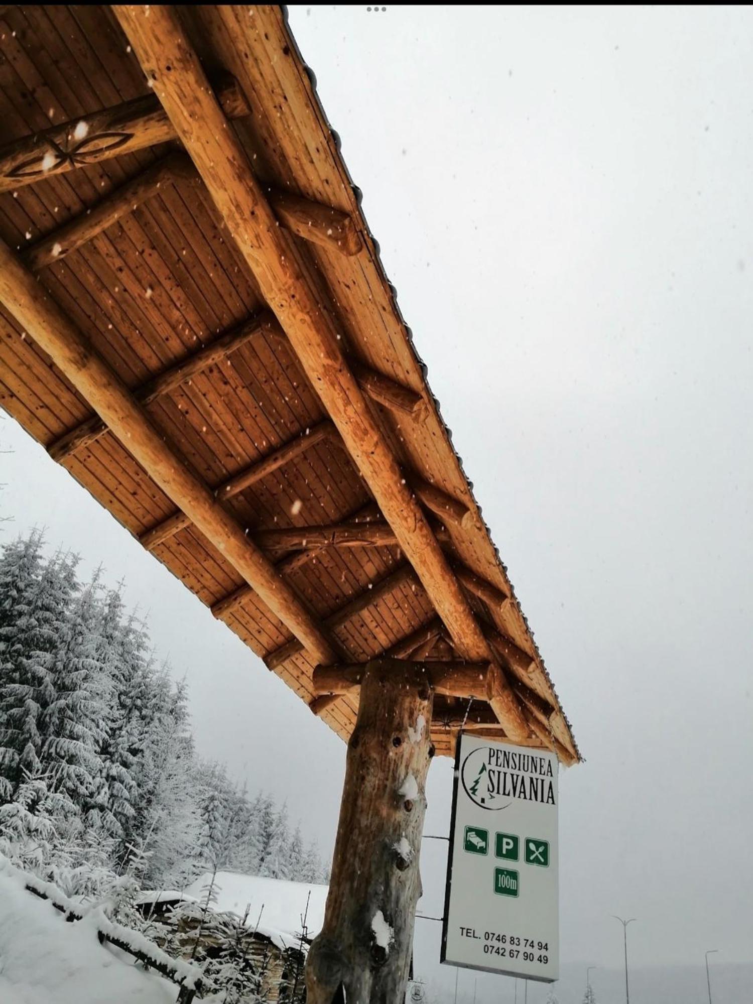 Pensiunea Silvania Statiunea Esterno foto